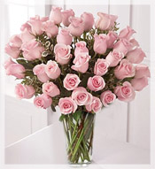 4 Dz  Long Stem Pink Roses Arrangement