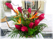 Tropical Wonder :: Le Jardin Signature Flower Arrangement